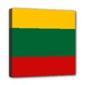 Lithuania Mini Canvas 8  x 8  (Stretched) View1