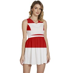 Monaco Sleeveless High Waist Mini Dress by tony4urban