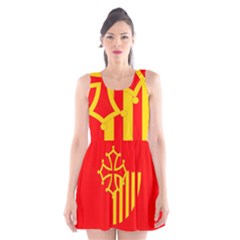 Languedoc Roussillon Flag Scoop Neck Skater Dress by tony4urban