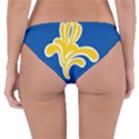 Brussels Reversible Hipster Bikini Bottoms View2