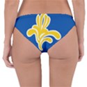 Brussels Reversible Hipster Bikini Bottoms View4