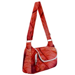 Leaf Copper Leaf Plant Nature Multipack Bag