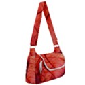 Leaf Copper Leaf Plant Nature Multipack Bag View1