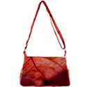 Leaf Copper Leaf Plant Nature Multipack Bag View3
