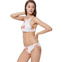 Dog And Cat Lover Pattern T- Shirtdog And Cat Lover Pattern T- Shirt Banded Triangle Bikini Set View2
