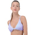 Hypnotic T- Shirt Hypnotize Royal Purple T- Shirt Knot Up Bikini Top View1