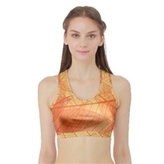 Orange Leaves Colorful Transparent Texture Of Natural Background Sports Bra With Border