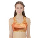 Orange Leaves Colorful Transparent Texture Of Natural Background Sports Bra with Border View1