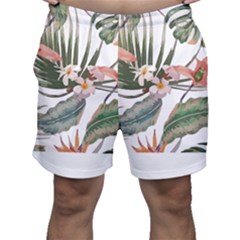 Tropical T- Shirt Tropical Pattern Quiniflore T- Shirt Men s Shorts