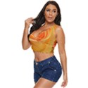 Flower Plant Rose Nature Garden Orange Macro Women s Sleeveless Wrap Top View2