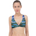 Stunning Sunset By The Lake Classic Banded Bikini Top View1