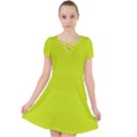 Bitter Lemon Green	 - 	Caught in a Web Dress View1