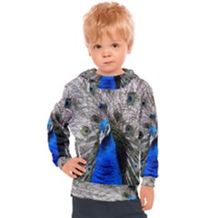 Peacock Bird Animal Feather Nature Colorful Kids  Hooded Pullover by Ravend