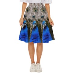 Peacock Bird Animal Feather Nature Colorful Classic Short Skirt