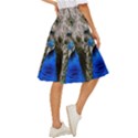 Peacock Bird Animal Feather Nature Colorful Classic Short Skirt View3