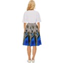 Peacock Bird Animal Feather Nature Colorful Classic Short Skirt View4