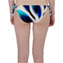 Feathers Pattern Design Blue Jay Texture Colors Bikini Bottoms View2