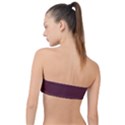 Catawba	 - 	Classic Bandeau Bikini Top View2