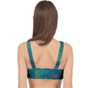 Ai Generated Ocean Sea Fish Aquatic Water Nature 5 Cage Up Bikini Top View2