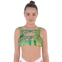 Nature Trees Forest Mystical Forest Jungle Bandaged Up Bikini Top