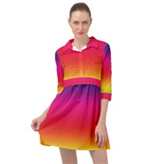 Spectrum Mini Skater Shirt Dress
