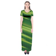 Green-01 Short Sleeve Maxi Dress