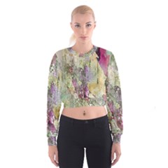 Background-105 Cropped Sweatshirt