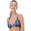 Vintage Collection Book Knot Up Bikini Top View1