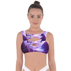 Fantasy World Bandaged Up Bikini Top