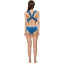 Abstract-classic-blue-background Low Cut Ruffle Edge Bikini Set View4