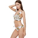 Lion Heads Pattern Design Doodle Low Cut Ruffle Edge Bikini Set View2