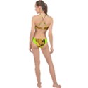Lion Cartoon Parody High Neck Bikini Set View2