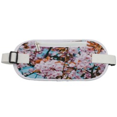 Nature Beautiful Rainbow Rounded Waist Pouch by artworkshop