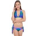 Peacock Feather Fractal Tie It Up Bikini Set View1