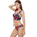 Screenshot 20230611-155636 Low Cut Ruffle Edge Bikini Set View2
