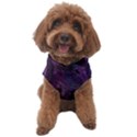Feather Pattern Texture Form Dog Sweater View1