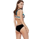 Bridge Transportation Train Toys Low Cut Ruffle Edge Bikini Top View3
