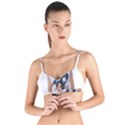 Img 20230716 195940 Img 20230716 200008 Tie Up Cut Bikini Top View1