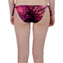 Trees Silhouette Sky Clouds Sunset Bikini Bottoms View2