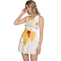 Cute Chick Sleeveless High Waist Mini Dress View2