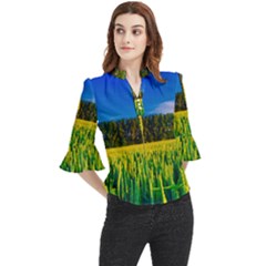 Different Grain Growth Field Loose Horn Sleeve Chiffon Blouse