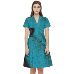 Plumage Short Sleeve Waist Detail Dress