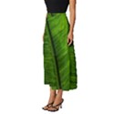 Green-leaf-plant-freshness-color Classic Midi Chiffon Skirt View2