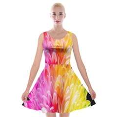 Abstract, Amoled, Back, Flower, Green Love, Orange, Pink, Velvet Skater Dress