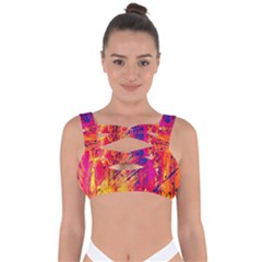 Abstract Design Calorful Bandaged Up Bikini Top