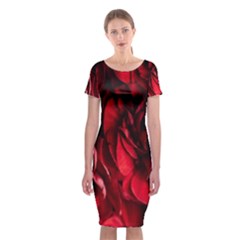 Followers,maroon,rose,roses Classic Short Sleeve Midi Dress