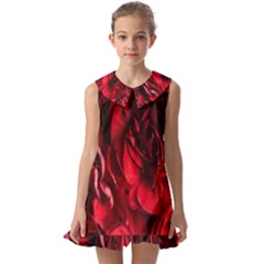 Followers,maroon,rose,roses Kids  Pilgrim Collar Ruffle Hem Dress