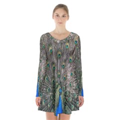 Peacock-feathers1 Long Sleeve Velvet V-neck Dress