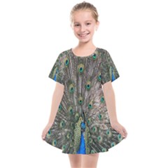 Peacock-feathers1 Kids  Smock Dress