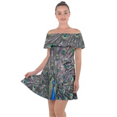 Peacock-feathers1 Off Shoulder Velour Dress